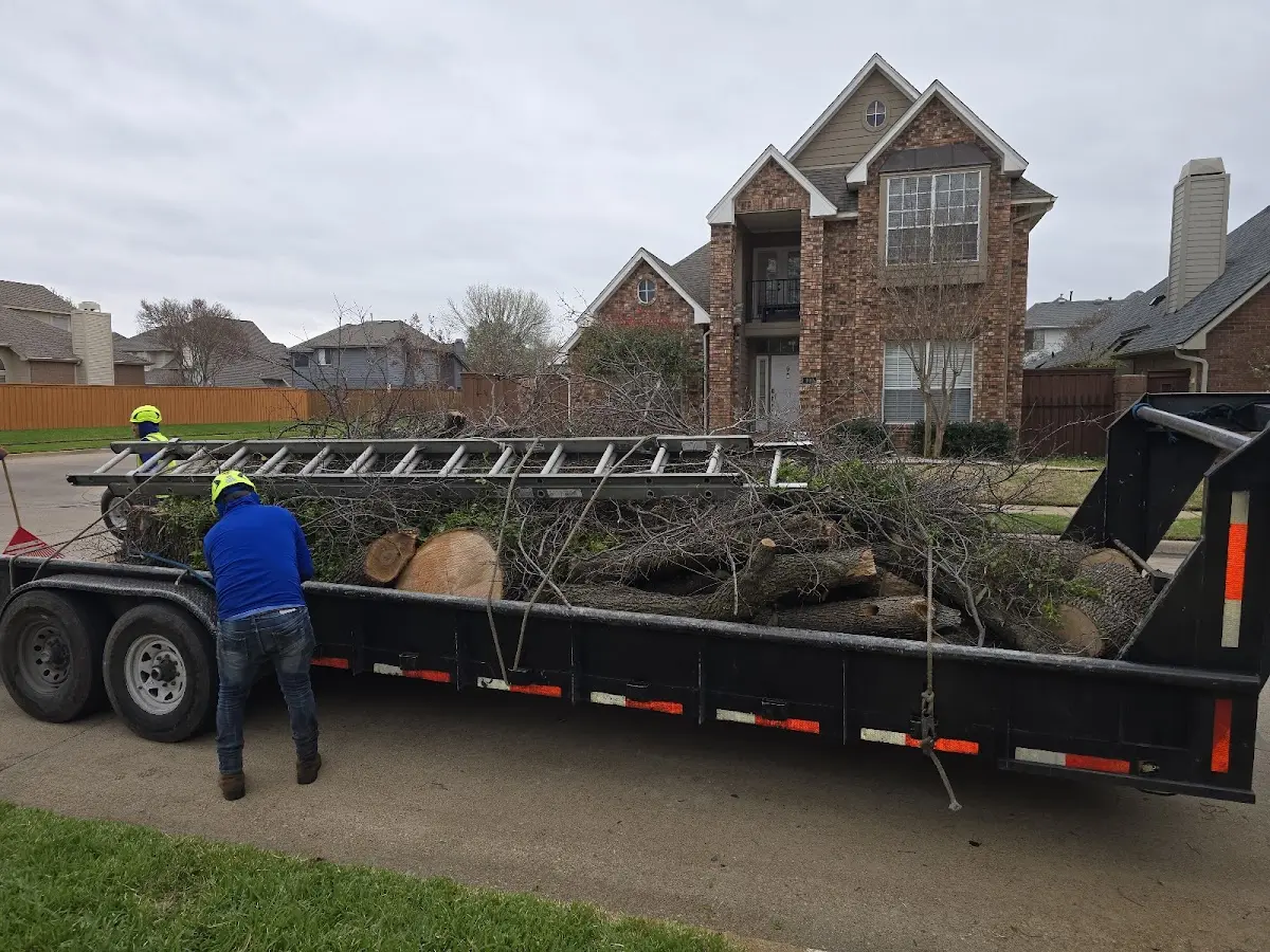 Expert Tree Removal with proper safety equipment in Riverton